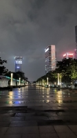 星画的照片